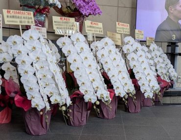代表取締役ご就任祝いの胡蝶蘭をお届けしました|愛媛松山 代表取締役ご就任祝いの胡蝶蘭をお届けしました|愛媛松山