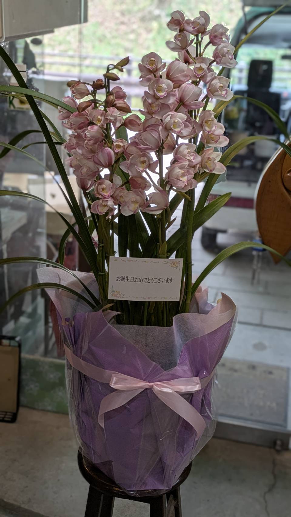 喜寿の御祝にかわい…